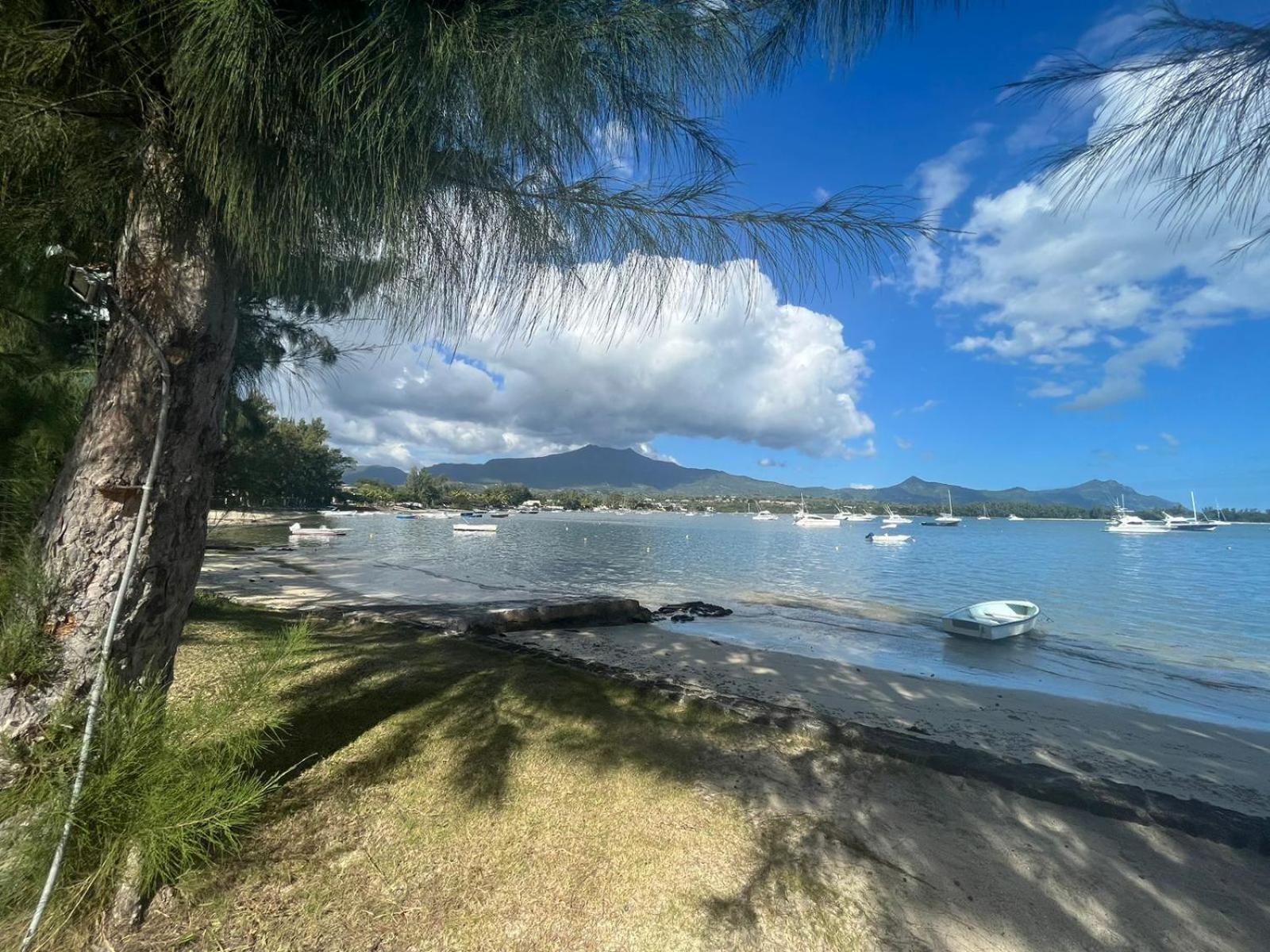 Apartment Olana Blue - Beachfront Riviere Noire